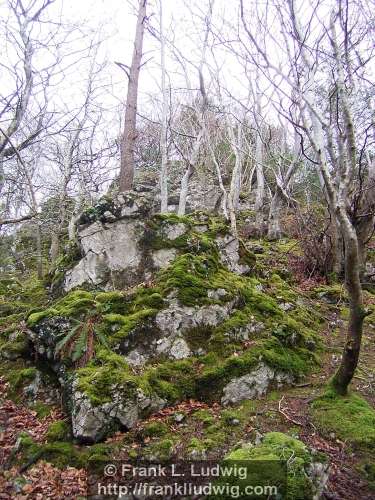 Dooney Rock, Lough Gill, County Sligo